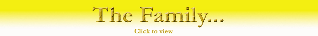 Somani Family